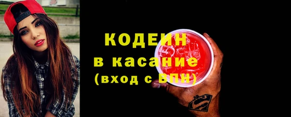 прущий лед Алзамай